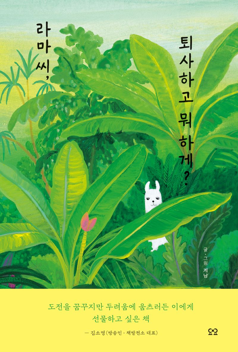 라마 씨, 퇴사하고 뭐 하게?