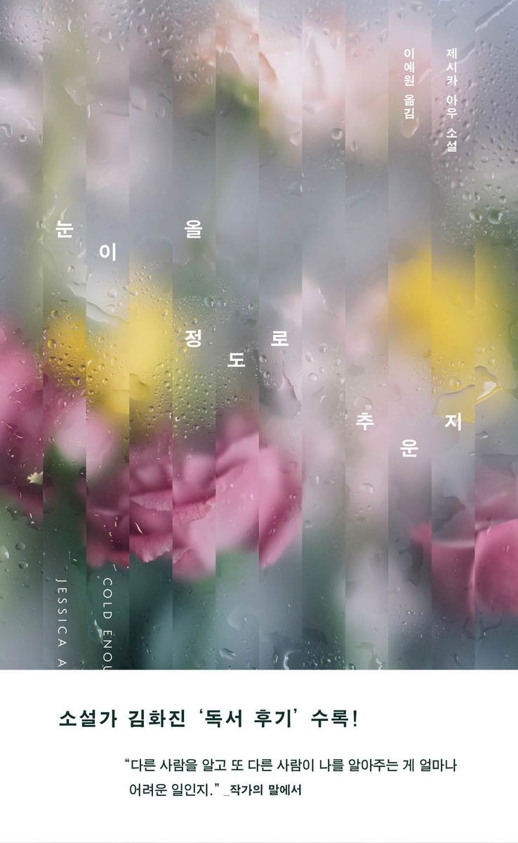 눈이 올 정도로 추운지 : 제시카 아우 소설