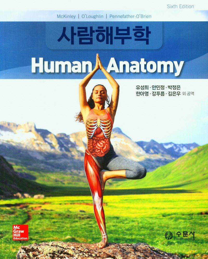 사람해부학