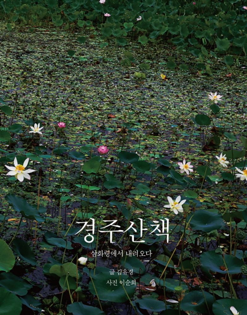 경주산책 : 삼화령에서 내려오다