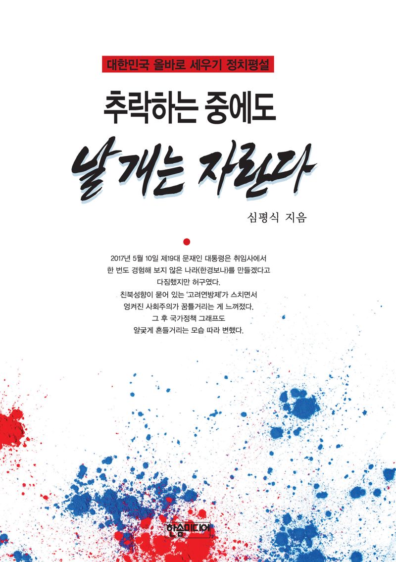 추락하는 중에도 날개는 자란다 : 대한민국 올바로 세우기