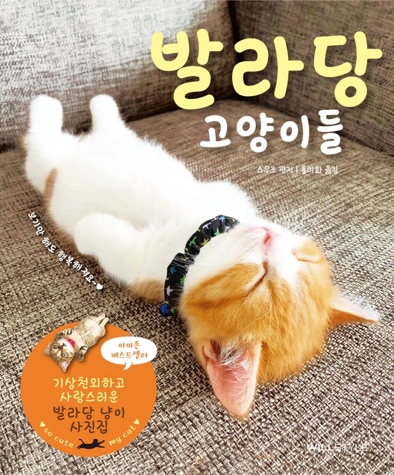 발라당 고양이들 : 보기만 해도 행복해져요