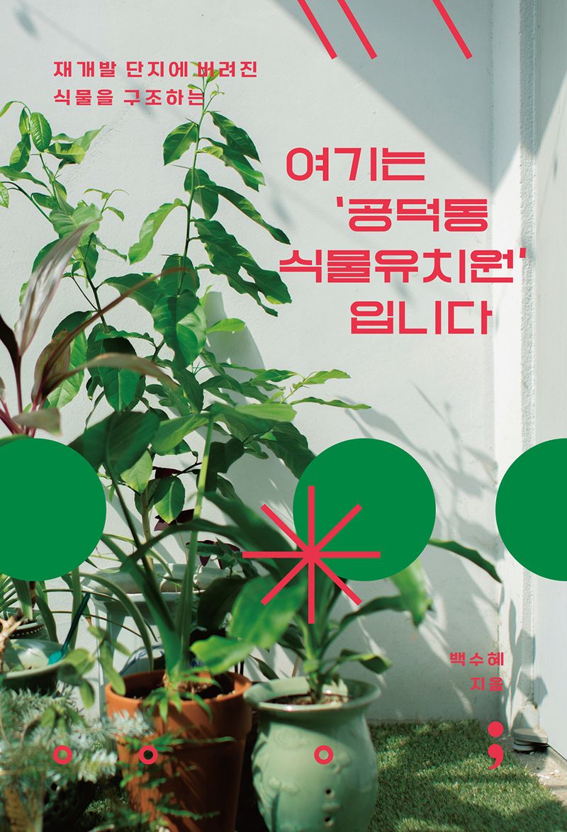 (재개발 단지에 버려진 식물을 구조하는) 여기는 '공덕동 식물유치원'입니다
