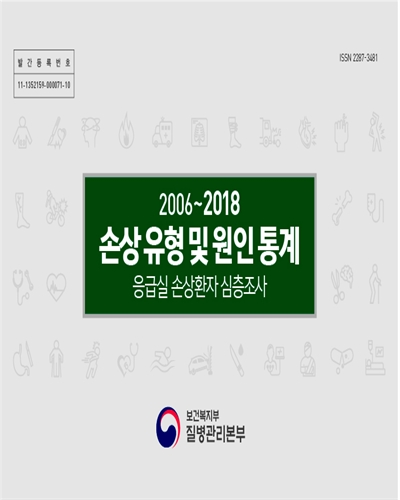 손상 유형 및 원인 통계 : 응급실 손상환자 심층조사. 2006-2018 [전자자료]