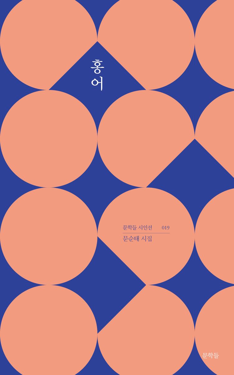 홍어 : 문순태 시집