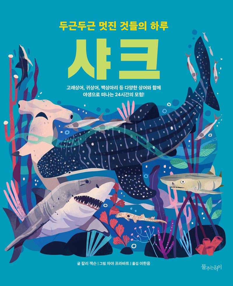 샤크 : 고래상어, 귀상어, 백상아리 등 다양한 상어와 함께 야생으로 떠나는 24시간의 모험!