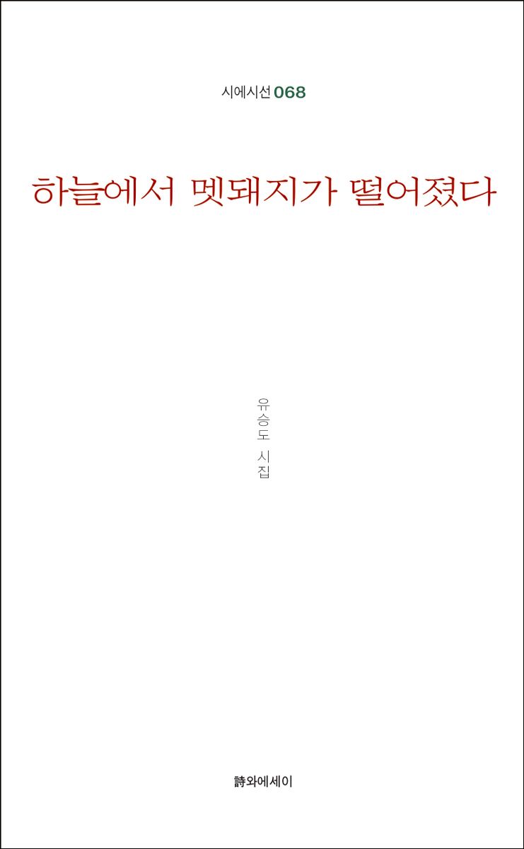 하늘에서 멧돼지가 떨어졌다 : 유승도 시집