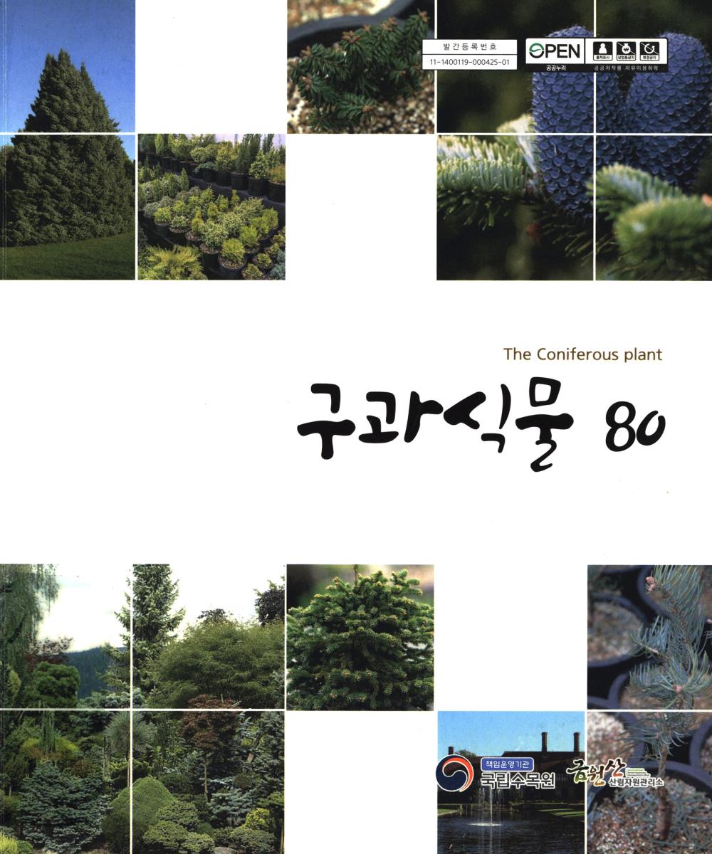 구과식물 80 = The coniferous plant