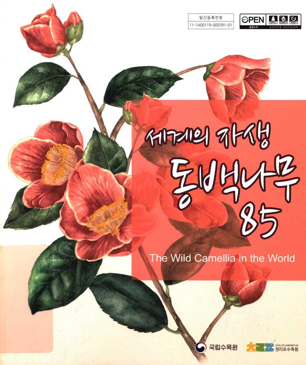 세계의 자생 동백나무 85 = The wild camellia in the world