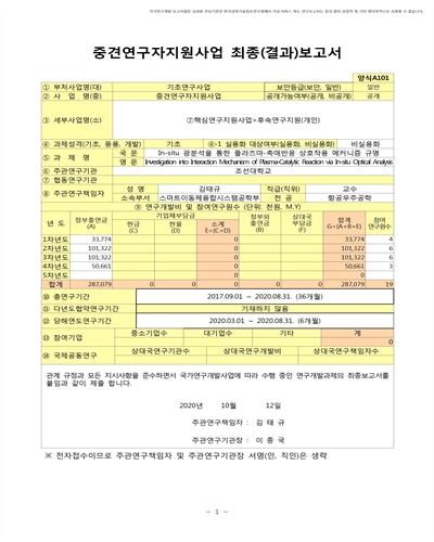 In-situ 광분석을 통한 플라즈마-촉매반응 상호작용 메커니즘 규명 [전자자료]