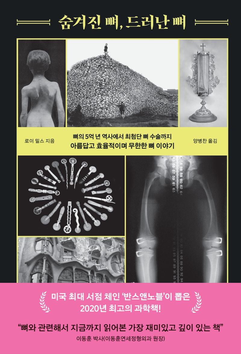 숨겨진 뼈, 드러난 뼈 : 뼈의 5억 년 역사에서 최첨단 뼈 수술까지 아름답고 효율적이며 무한한 뼈 이야기