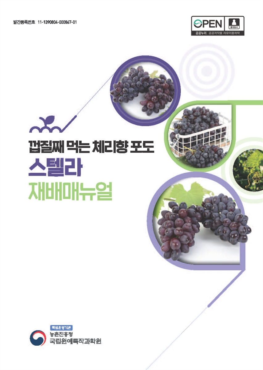 (껍질째 먹는 체리향 포도) 스텔라 재배매뉴얼
