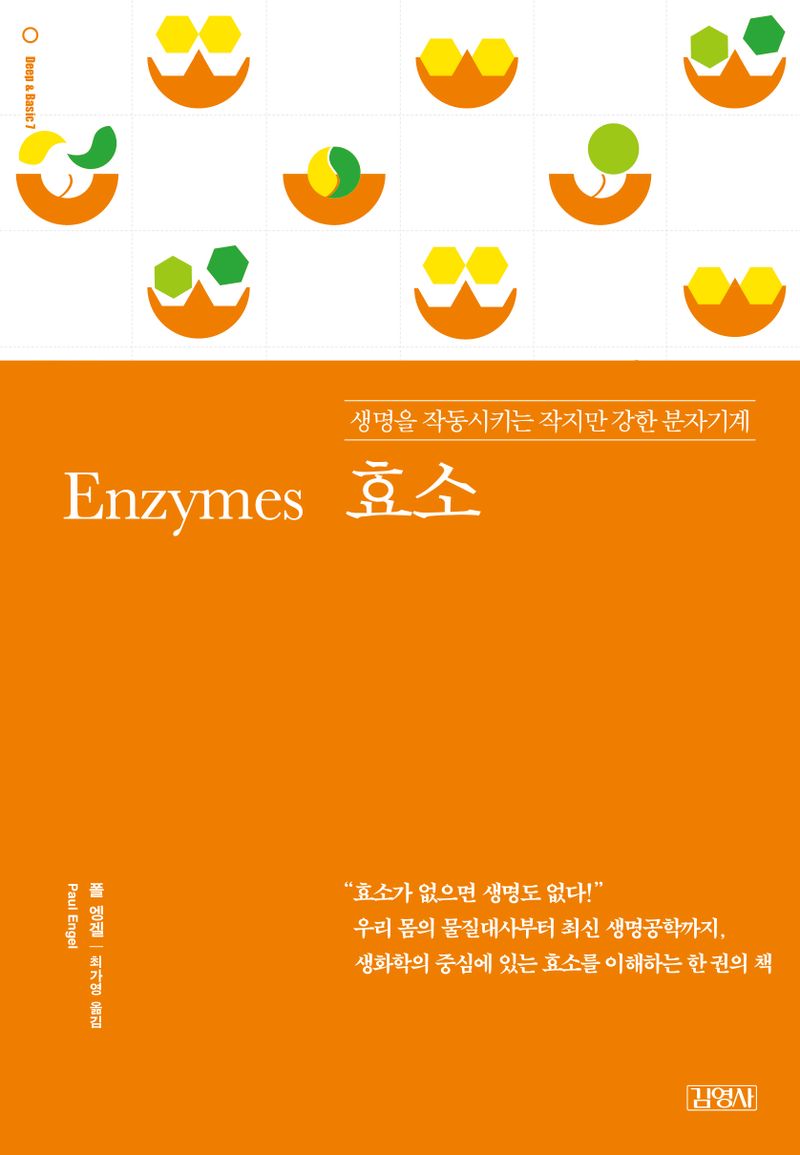 효소 : 생명을 작동시키는 작지만 강한 분자기계
