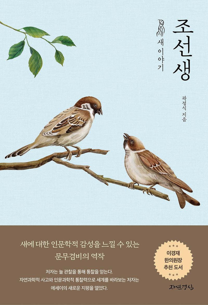 조선생 : 새 이야기