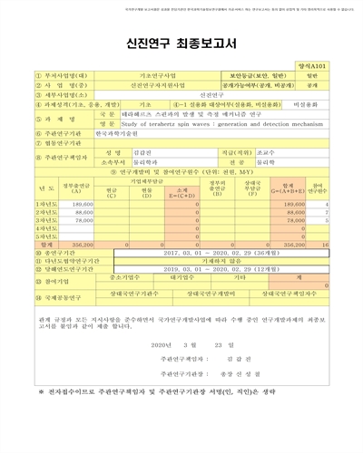테라헤르츠 스핀파의 발생 및 측정 메커니즘 연구 [전자자료]