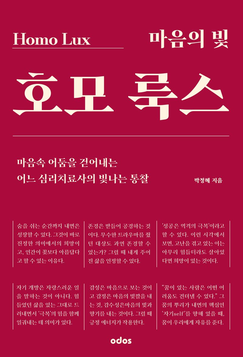 호모 룩스 = Homo lux : 마음속 어둠을 걷어내는 어느 심리치료사의 빛나는 통찰. 마음의 빛