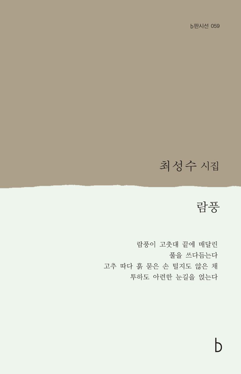 람풍 : 최성수 시집