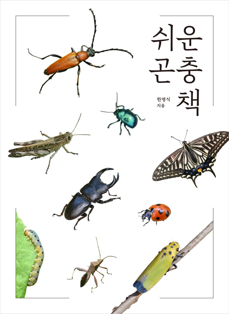 쉬운 곤충책