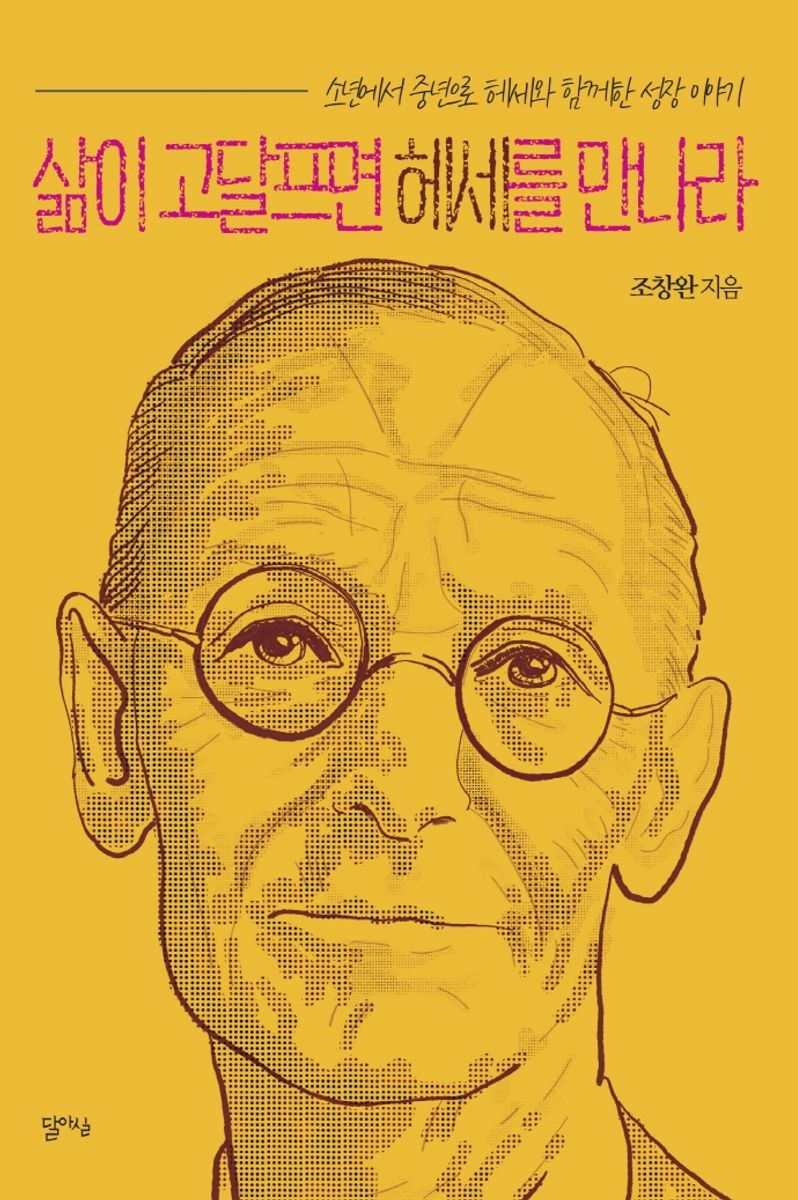 삶이 고달프면 헤세를 만나라 : 소년에서 중년으로 헤세와 함께한 성장 이야기