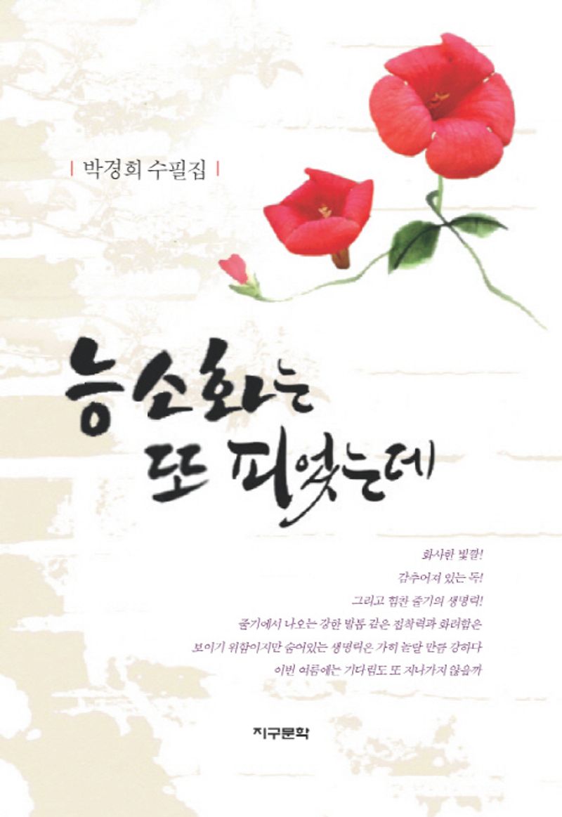 능소화는 또 피었는데 : 박경희 수필집