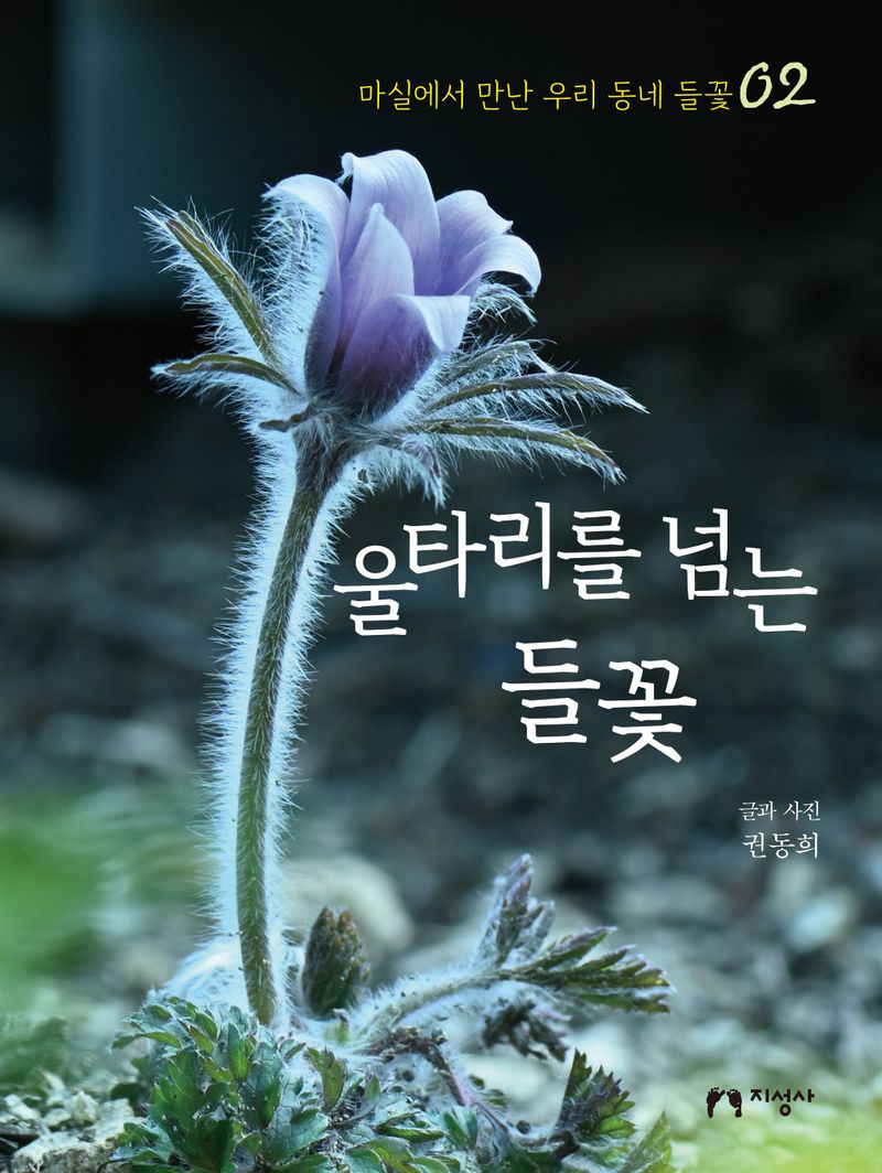 울타리를 넘는 들꽃