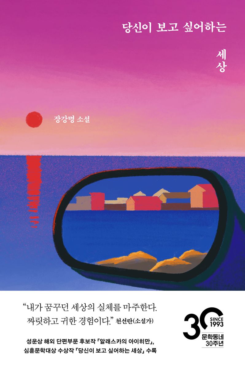 당신이 보고 싶어하는 세상 : 장강명 소설