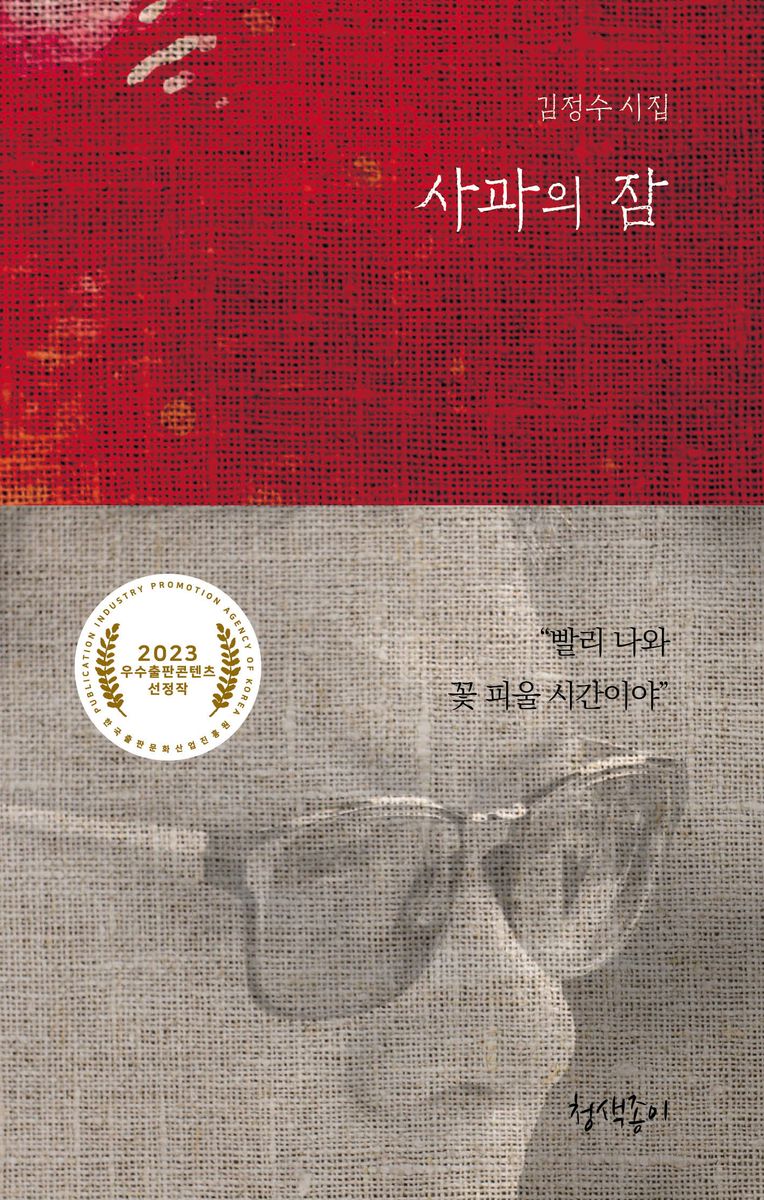 사과의 잠 : 김정수 시집