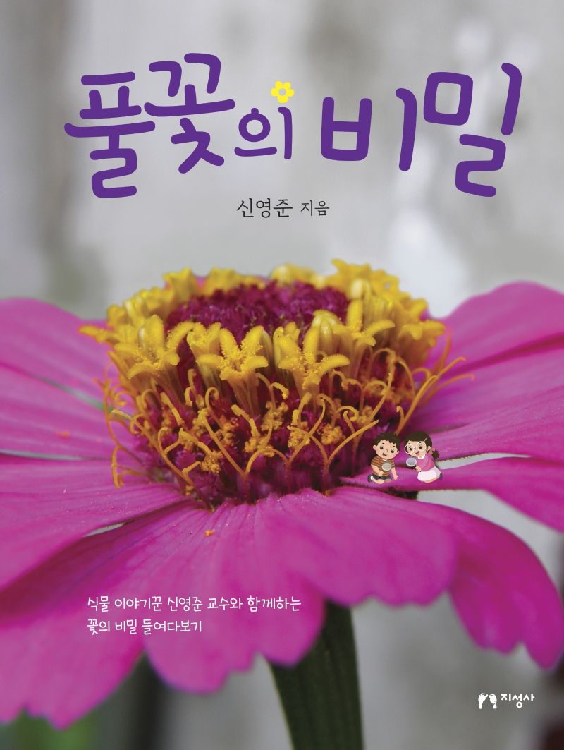 풀꽃의 비밀 : 식물 이야기꾼 신영준 교수와 함께하는 꽃의 비밀 들여다보기