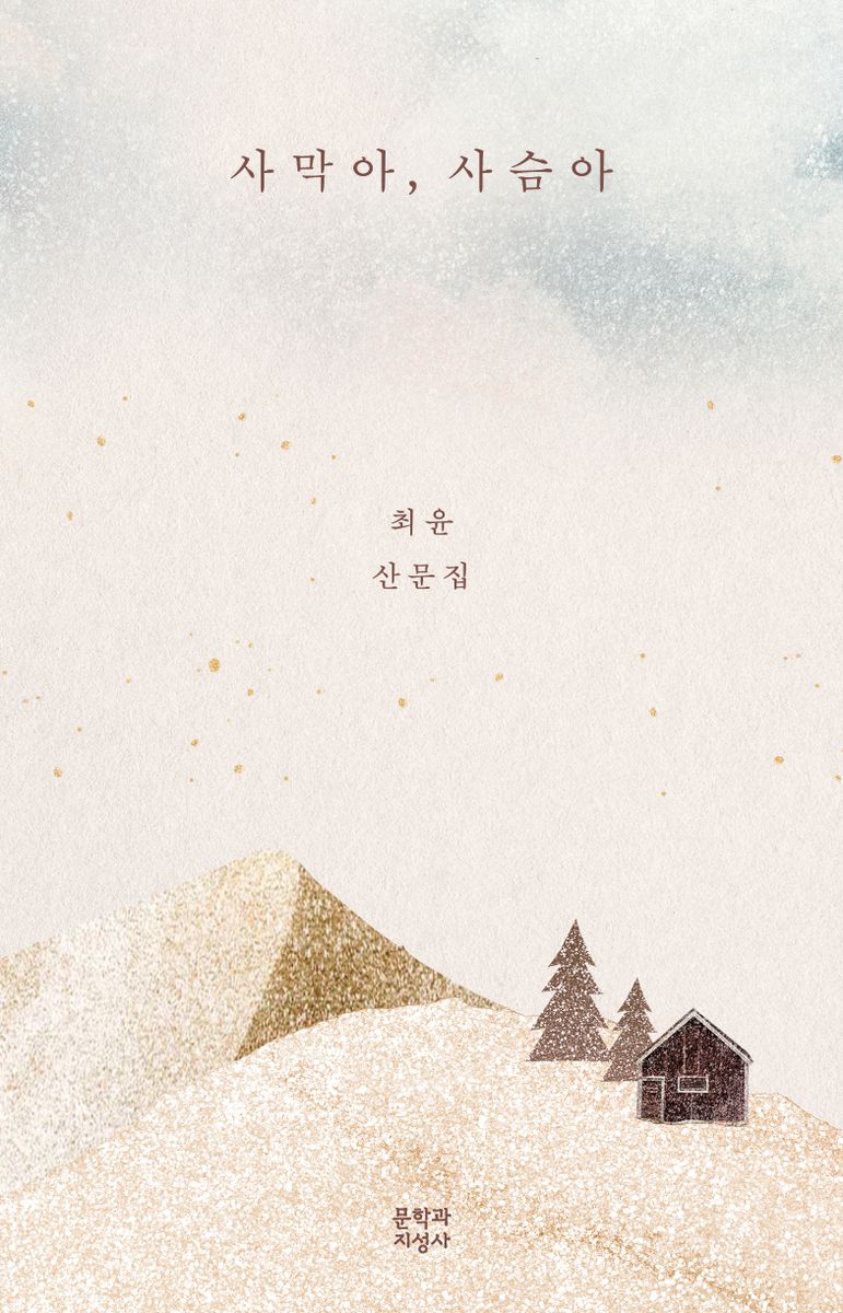 사막아, 사슴아 : 최윤 산문집