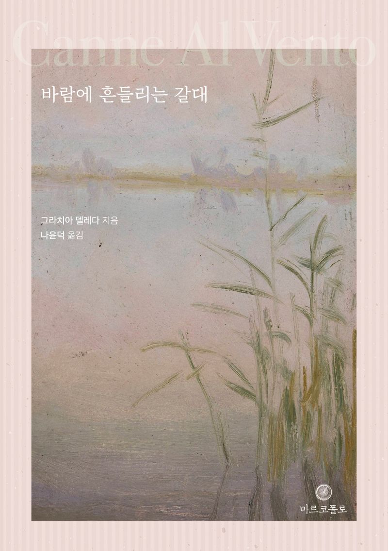 바람에 흔들리는 갈대