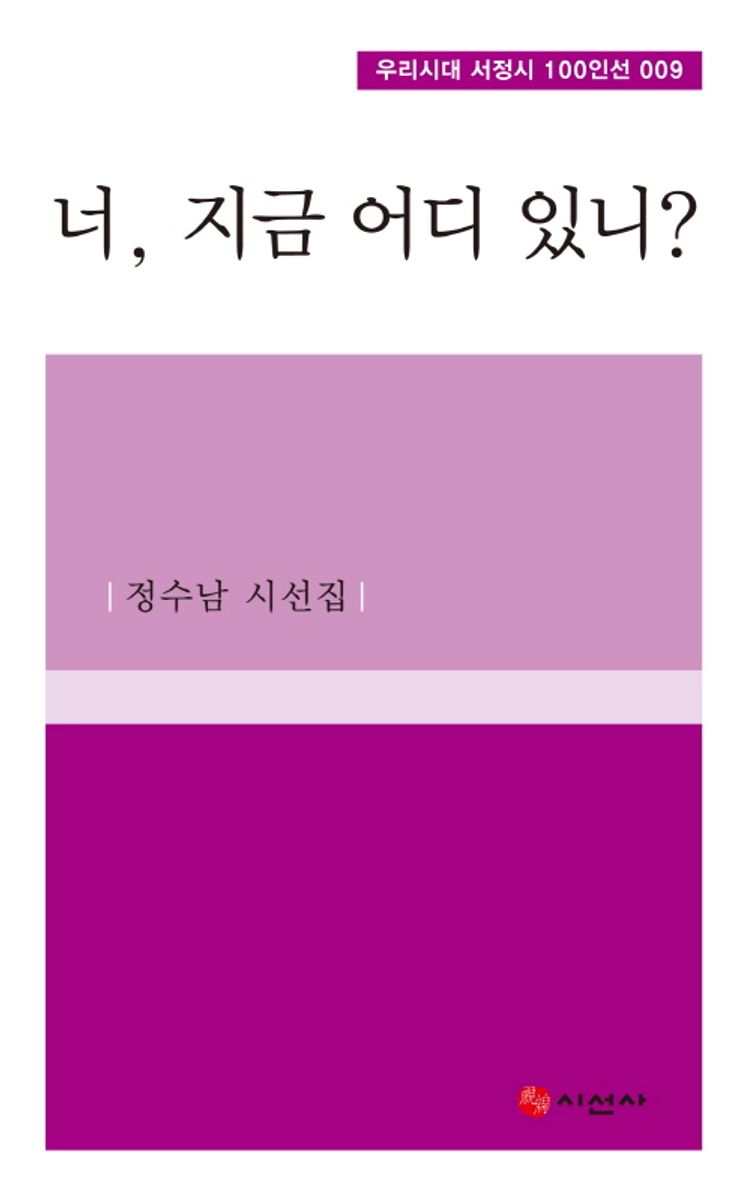 너, 지금 어디 있니? : 정수남 시선집