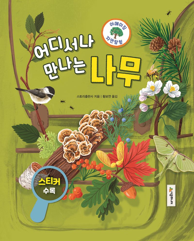 (어디서나 만나는) 나무