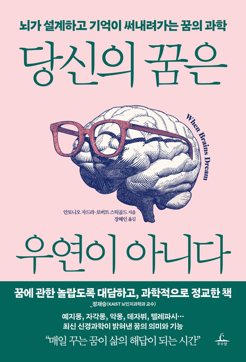 당신의 꿈은 우연이 아니다 : 뇌가 설계하고 기억이 써내려가는 꿈의 과학