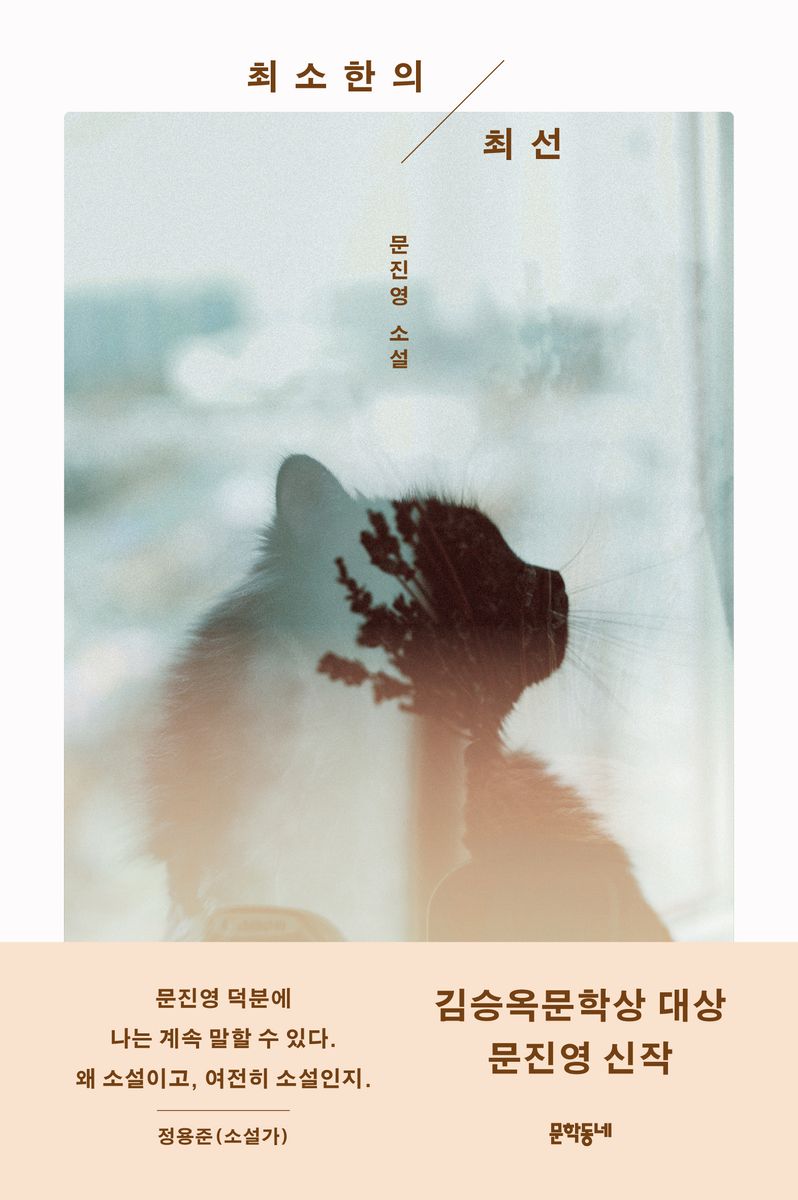 최소한의 최선 : 문진영 소설