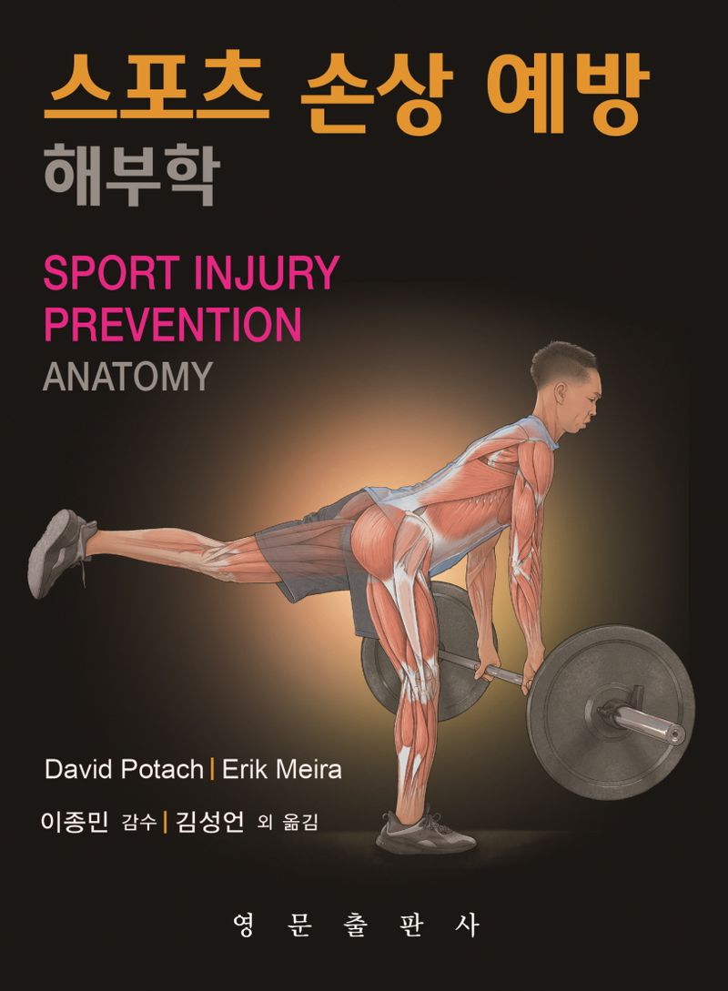 스포츠 손상 예방 해부학