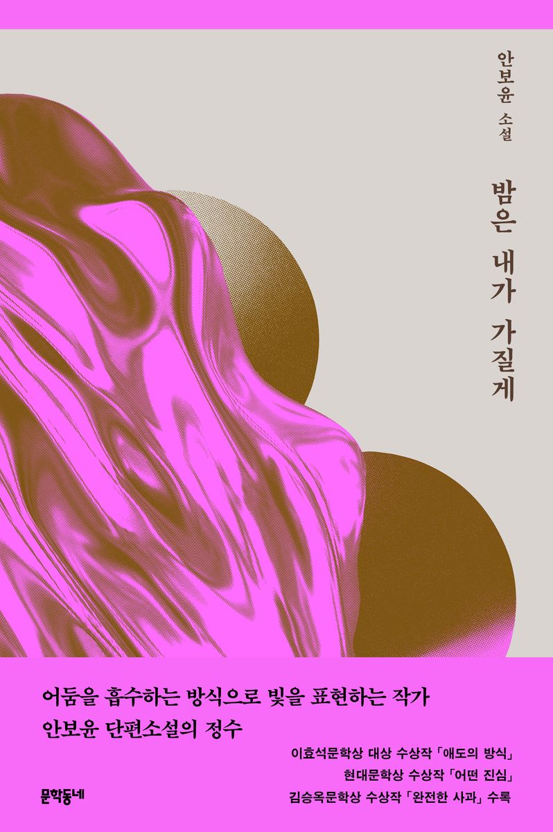 밤은 내가 가질게 : 안보윤 소설