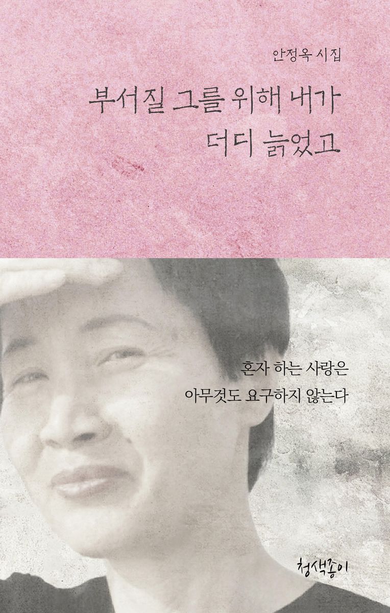 부서질 그를 위해 내가 더디 늙었고 : 안정옥 시집