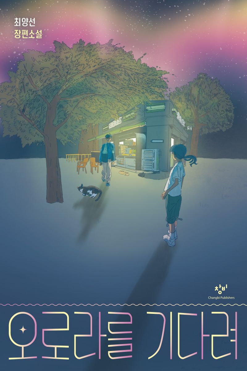 오로라를 기다려 : 최양선 장편소설