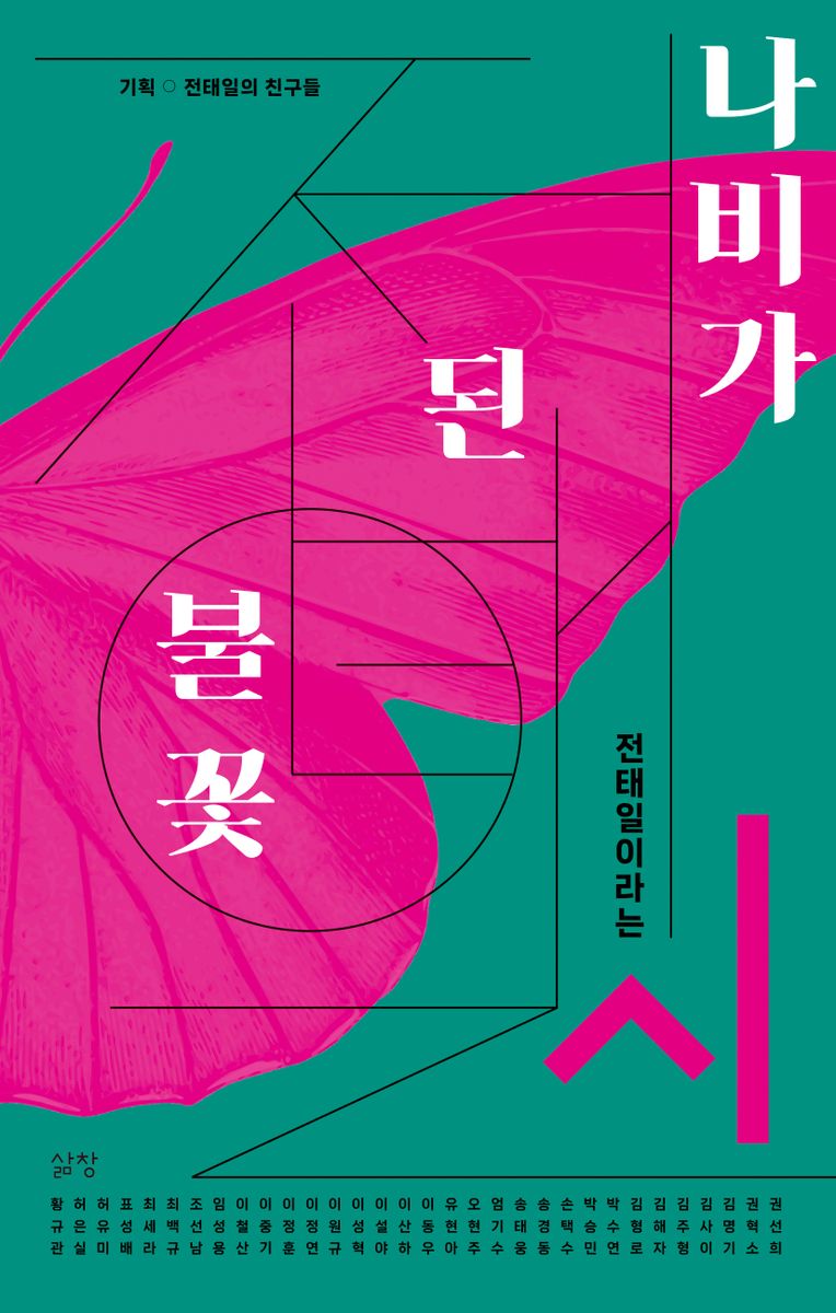 나비가 된 불꽃 : 전태일이라는 시