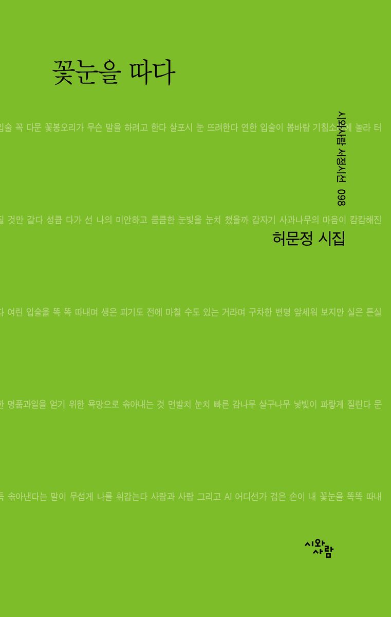 꽃눈을 따다 : 허문정 시집