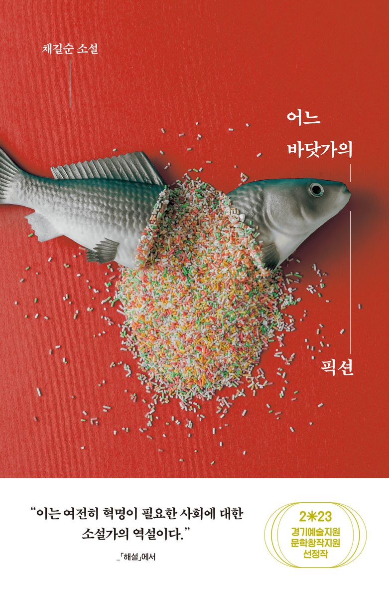 어느 바닷가의 픽션 : 채길순 소설