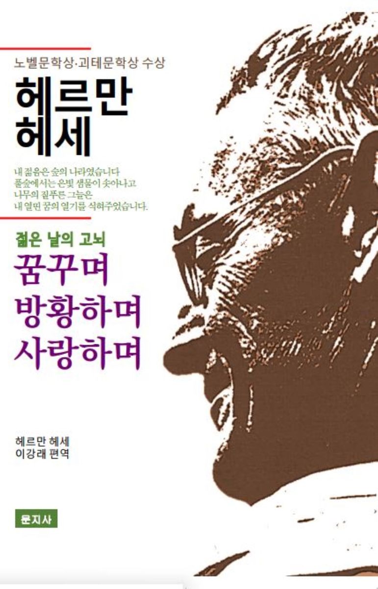 꿈꾸며 방황하며 사랑하며 : 젊은 날의 고뇌