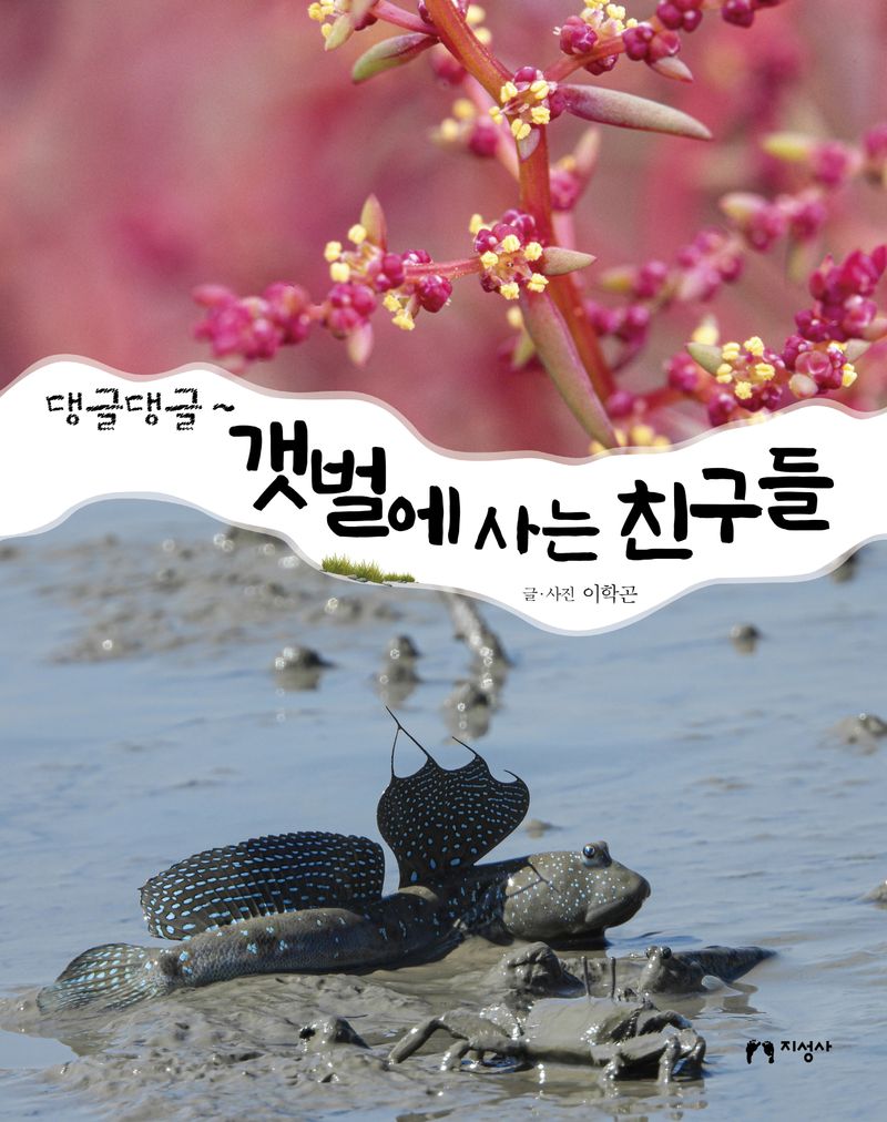 (댕글댕글~) 갯벌에 사는 친구들
