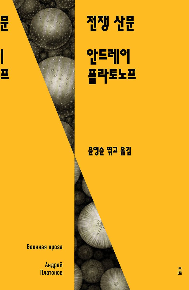 전쟁 산문 = Военная проза