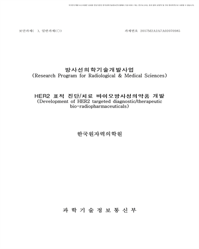 HER2 표적 진단/치료 바이오방사성의약품 개발 [전자자료]
