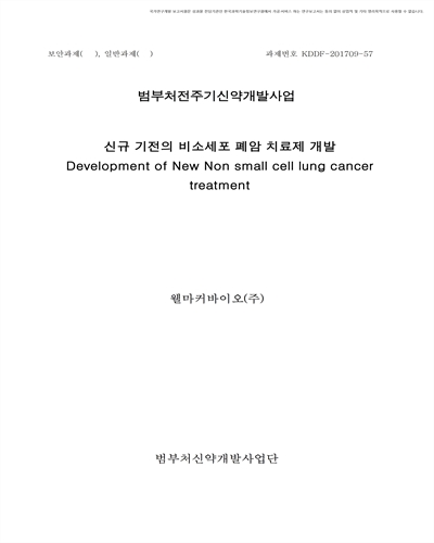 신규 기전의 비소세포 폐암 치료제 개발 [전자자료]