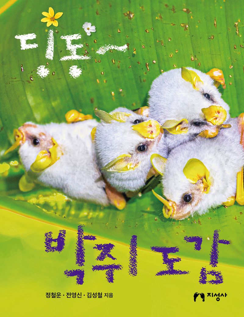 딩동∼ 박쥐 도감
