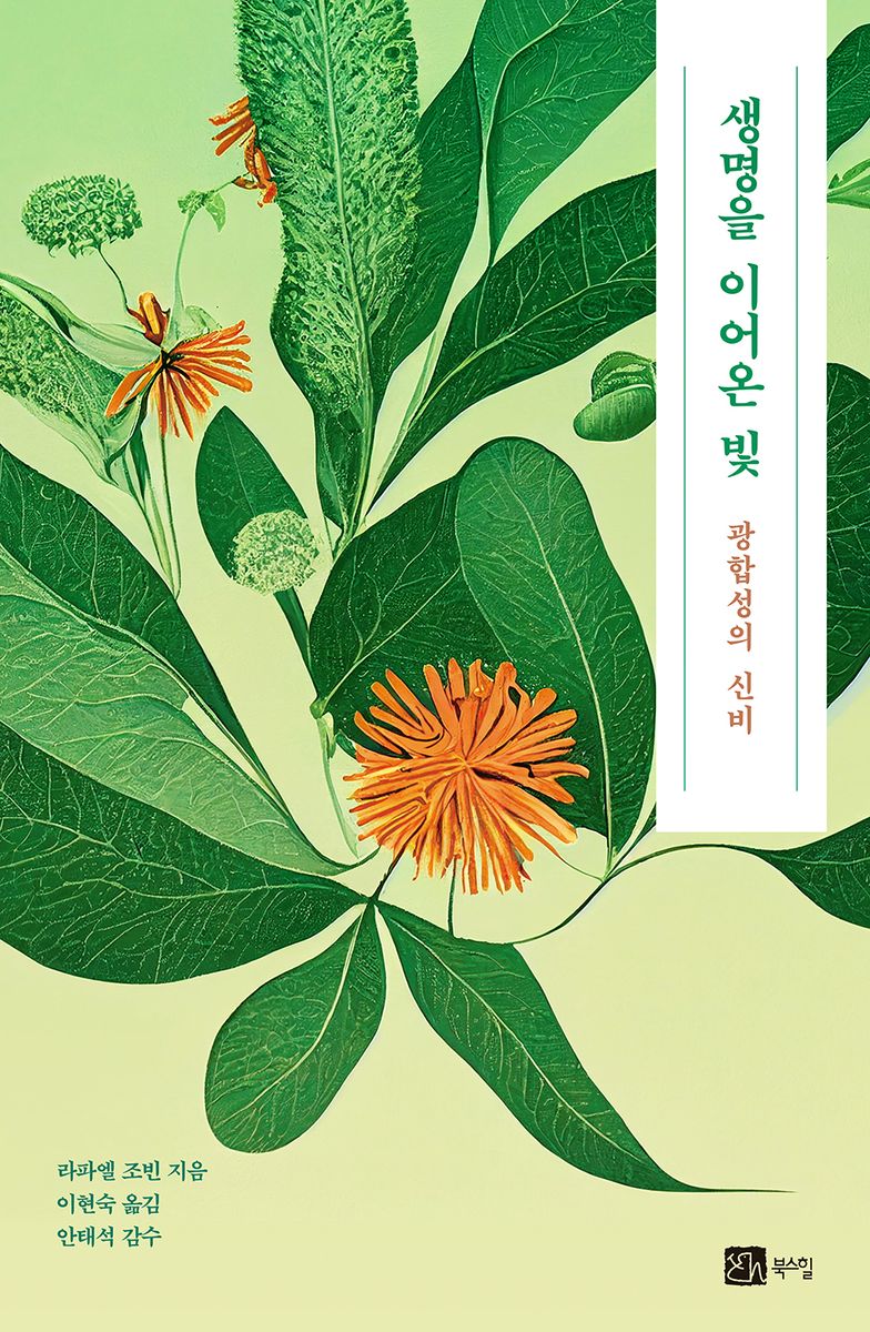 생명을 이어온 빛 : 광합성의 신비