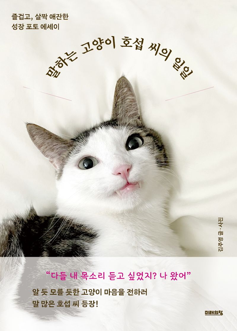 말하는 고양이 호섭 씨의 일일 : 즐겁고, 살짝 애잔한 성장 포토 에세이 / 김주영 글·사진