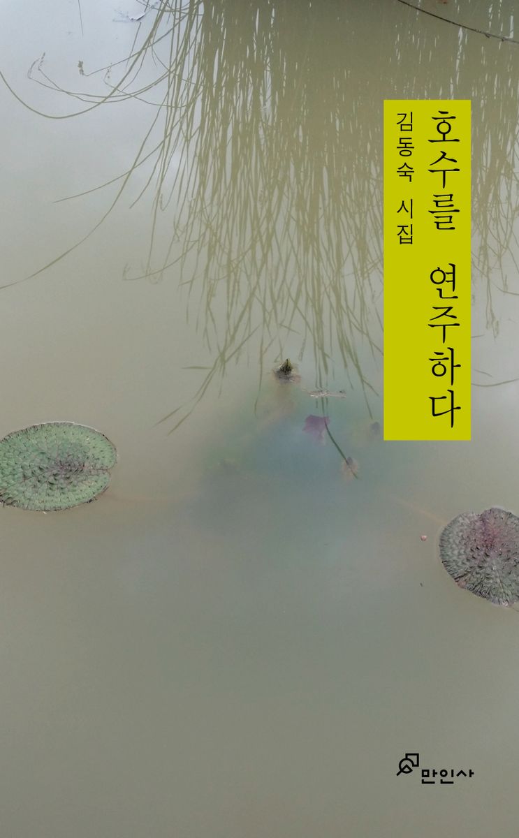 호수를 연주하다 : 김동숙 시집